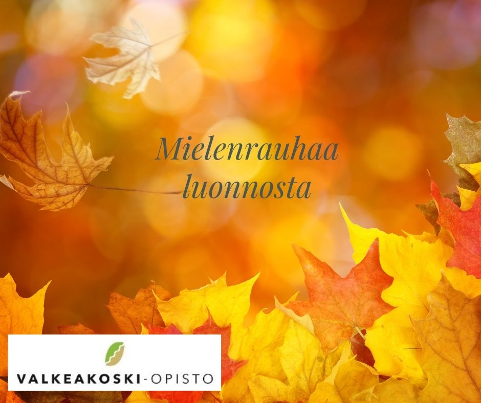 Keltaisetlehdet