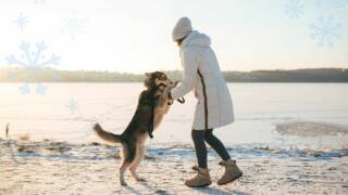 Koira ja aikuinen leikkivät talvisella rannalla.