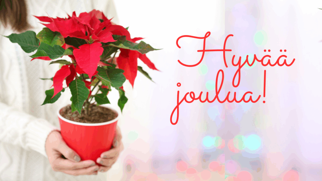 Ihminen ojentaa käsissään joulutähteä ja vieressä teksti Hyvää joulua.